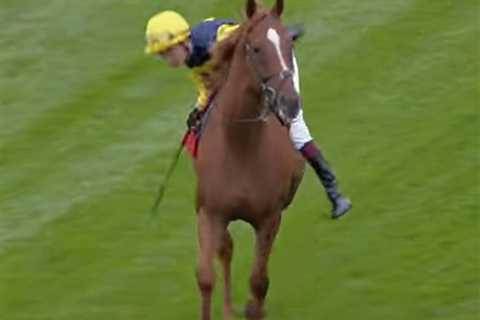 Watch champion jockey Oisin Murphy show amazing skills while taking a battering in terrifying..