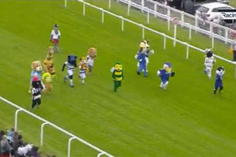 Watch hilarious mascot race’s dramatic finish with controversial magpie winner that leaves punters..