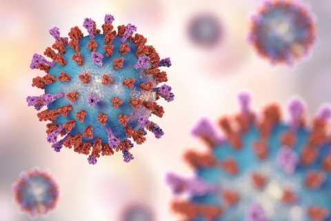 Everything you need to know about new Covid variant C.1.2