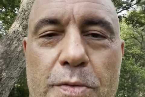 Joe Rogan reveals he has Covid and has taken cocktail of drugs to battle symptoms after suffering..
