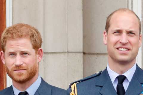 Omid Scobie takes a swipe at the Queen as he claims ‘no senior Royal’ stepped in to solve Prince..