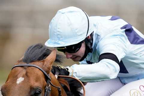 If Starman wins the Sprint Cup it will be because of me – and I can’t wait to see Baaeed on Sunday