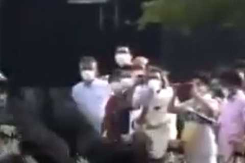 Watch mad moment horse does full Fosbury Flop backflip over rail as punters react with horror to..