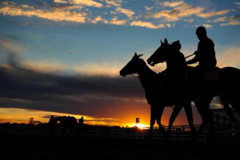 Trainer whacked with three-month ban after shocking Facebook post “after a couple of beers”