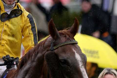 Meet the 19-year-old jockey who’s already made £1million this year – ‘real deal’ Ben Coen is..