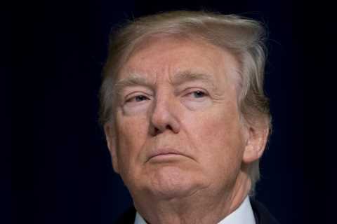 Donald Trump to HOST and commentate on Holyfield vs Belfort exhibition fight in Florida alongside..