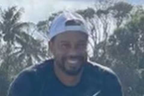 Tiger Woods working in rehab to ‘try and play golf again’ after horror car crash left him with..