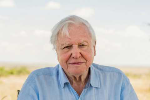 Sir David Attenborough warns Boris Johnson eco-policies should not be costly if he wants people to..