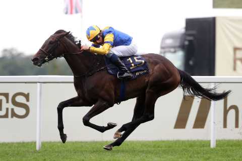 Superstar racehorse Wonderful Tonight suffers career-ending injury