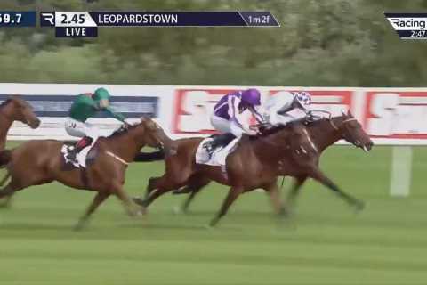 Watch ‘most exciting race ever’ won by St Mark’s Basilica after dramatic stewards’ enquiry in Irish ..