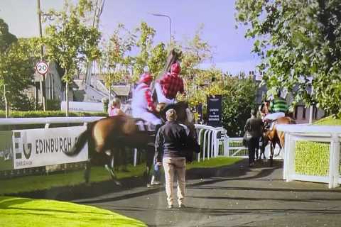 Watch terrifying moment horse dumps jockey and bolts off past shocked stable staff in pre-race..