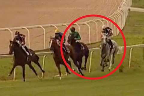 Ascot jockey hit with 40-day ban and maximum fine for post-race fight that left rival in a ‘pool of ..