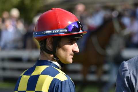 Ascot jockey banned for leaving rival in ‘pool of blood’ admits he ‘couldn’t control anger’ in..