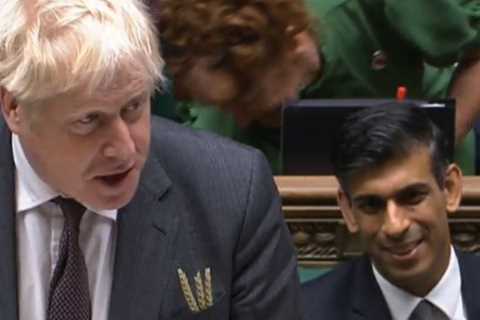 Why is Boris Johnson wearing wheat in his top pocket?