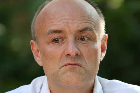 Dominic Cummings knocked back by watchdogs over secretive new job
