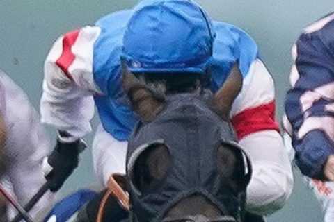 Horse racing money back special: Get £50 back as CASH on losing bets with Betfair