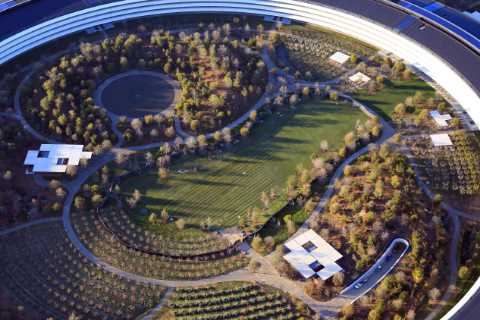 Tim Cook Faces Surprising Employee Unrest at Apple