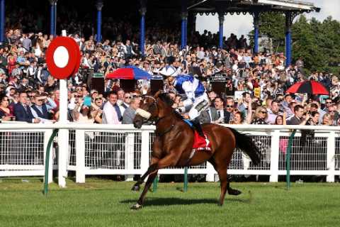 Horse named after Leeds manager Bielsa takes home £150K Ayr Gold Cup under brilliant Kevin Stott