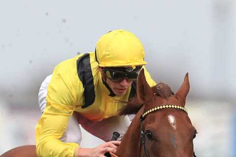 Addeybb midweek treat for punters as William Haggas hopes to tee up star for Champions Day defence