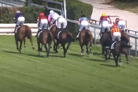 Watch crazy horse race punters label ‘strangest ever’ after nightmare incident somehow leads to £21,..