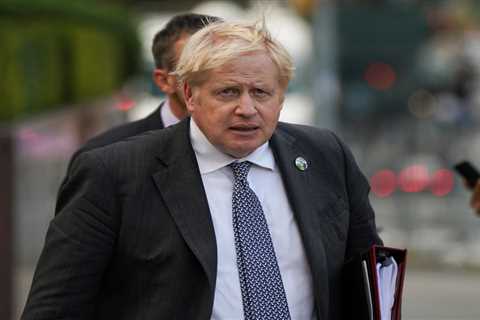 Boris Johnson must pump billions into ‘new deal for kids’ after Covid, warns children’s commissioner