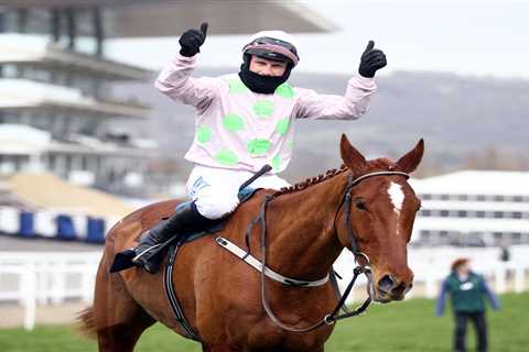 Willie Mullins hammer blow as Cheltenham Festival hero and Gold Cup fav Monkfish ruled out for..