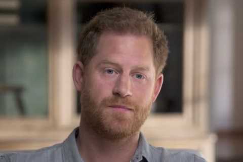 Prince Harry reveals his travel initiative Travalyst partners with Google in another high-powered..