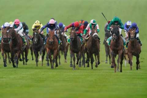 Cambridgeshire Handicap: Templegate’s runner-by-runner guide ahead of betting frenzy for huge..