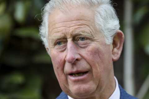 Prince Charles launches climate change TV channel in deal with streaming giant Amazon Prime