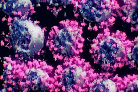 New R1 Covid variant has several concerning mutations, experts warn