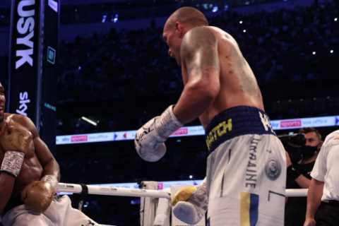 Anthony Joshua has NO CHANCE of beating Oleksandr Usyk in rematch with just one in five fans..