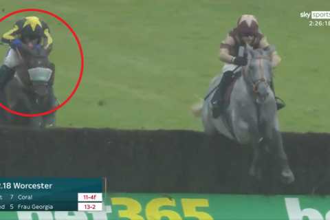 Watch incredible moment horse blindfolded by own noseband somehow jumps fences perfectly