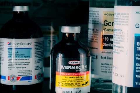 Facebook groups promoting ivermectin as a Covid-19 treatment continue to flourish.