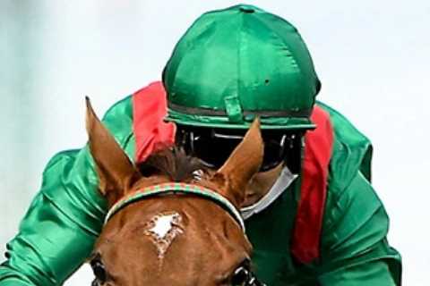 Arc preview: Which horses will love the soft ground at Longchamp races on Sunday?