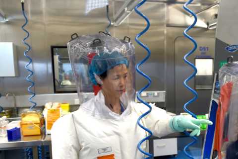 Covid was ‘engineered by scientists for CARNAGE’ and may have infected Patient Zero after MONKEY..