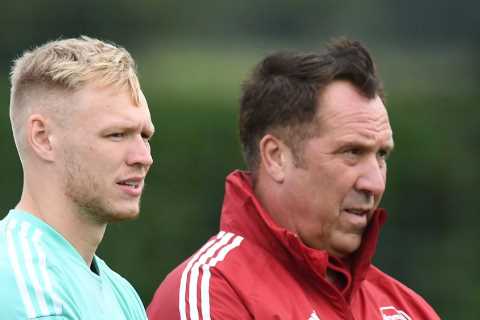 Arsenal legend David Seaman back training with club as he helps Under-23 keepers and youngsters to..