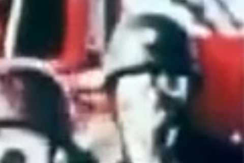 China did ‘Nazi-style’ bioweapons experiments on ‘human Guinea pigs’ &amp; infected them with..
