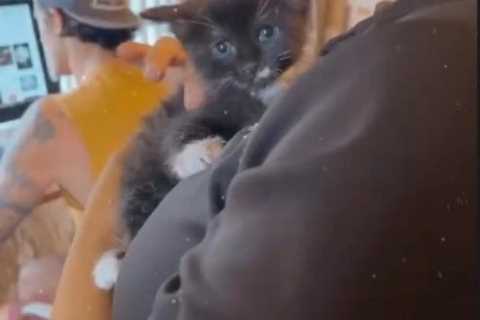 Teen Mom Chelsea Houska snuggles adorable kitten after shading Jenelle Evans &amp; David Eason for..
