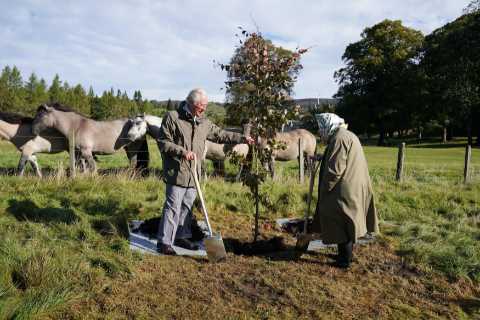 Green-fingered Queen plants a tree to mark Platinum Jubilee as she gets to work with Charles after..