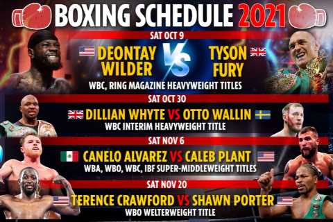 Upcoming boxing fights 2021: Fixture schedule – Tyson Fury vs Deontay Wilder 3 THIS WEEK, Canelo..