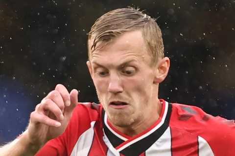 Southampton captain James Ward-Prowse handed shock England call-up by Gareth Southgate for World..