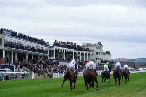 Racehorses in Britain to be banned from food chain under new rule