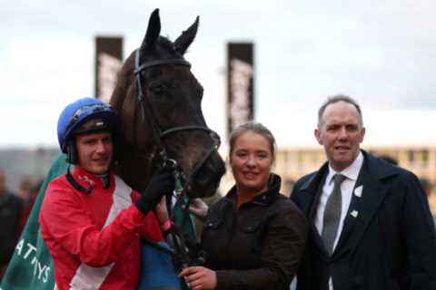 Templegate picks out his eyecatcher to track in the run up to Cheltenham as the jumps season..