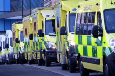 Deaths from the flu could reach 60k this winter because of past lockdowns – the worst figure in 50..