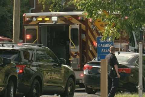 Shooting in Capitol Heights, Maryland: Two dead and suspect in custody after gunfire erupts at..