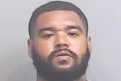 Suspect who ‘killed’ Brielle Biermann’s best friend in hit-and-run seen for first time in jail..