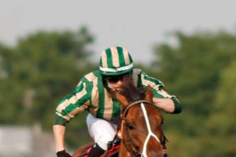 Racehorse bought in honour of a friend who passed from Covid wins his debut race