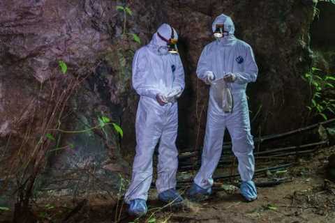 Covid ‘evolved inside lungs of Chinese miner nine years ago before escaping Wuhan lab’, top US doc..