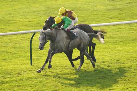 Oisin Murphy wins Cesarewitch on Buzz just 24 hours after failed breath test – and Native Trail..