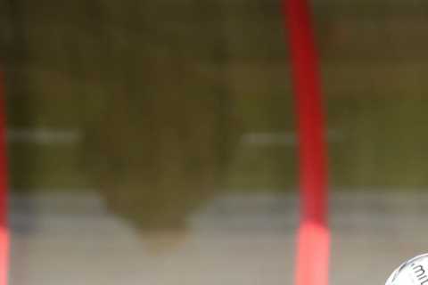 Man United boss Skinner dreams of luring Red Devils Prem fans to WSL and urges aces to play each..